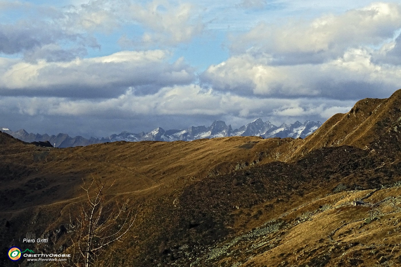 90 Vista in Alpi Retiche.JPG -                                